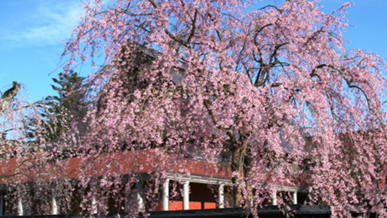 Kyukamura Nyuto-Onsenkyo Hotel Semboku Exterior photo